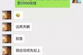 金融讨债公司的简易称：揭秘债务催收领域的专业力量